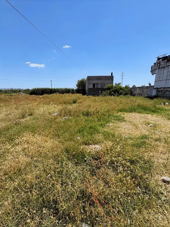 Aydın Sazlı Köyde İmarlı Arsa Satılık 1