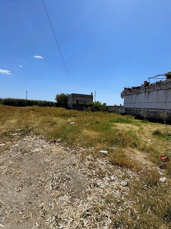 Aydın Sazlı Köyde İmarlı Arsa Satılık 2