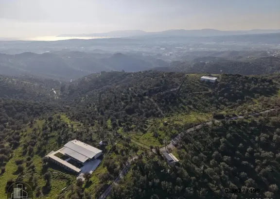 İzmir Seferihisar Ulamış Mahallesinde 19.542m² Satılık Zeytinlik 2