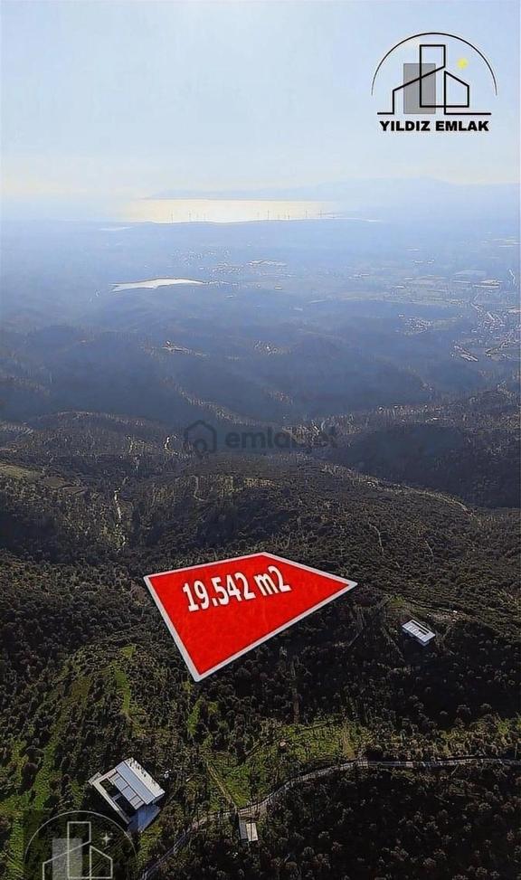 İzmir Seferihisar Ulamış Mahallesinde 19.542m² Satılık Zeytinlik 2