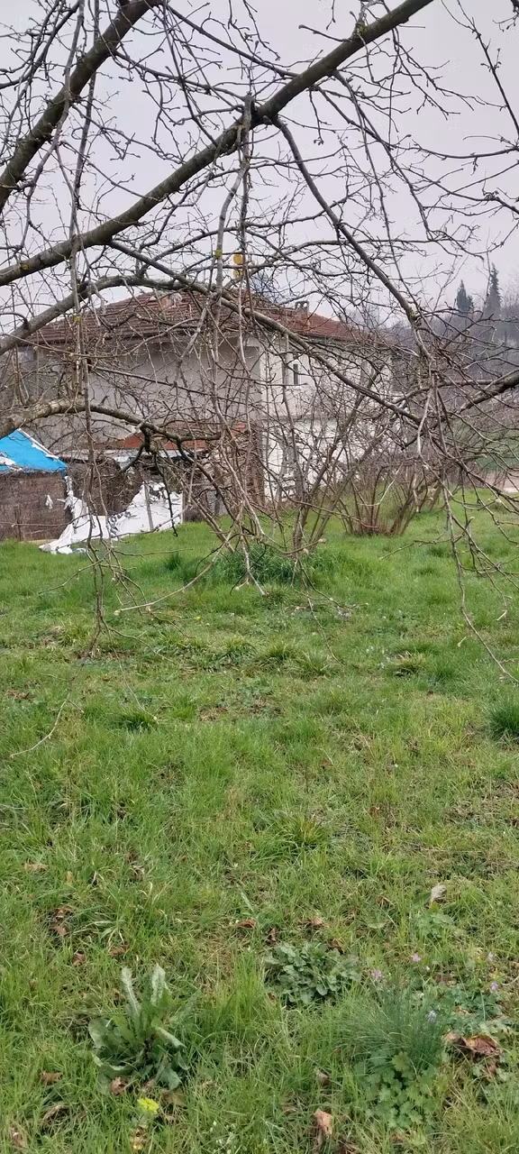 Yaşam Emlak Tan Satılık Bağ Bahçe 2