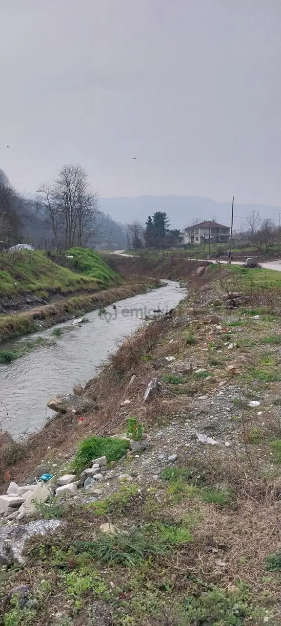 Yaşam Emlak Tan Satılık Bağ Bahçe 1