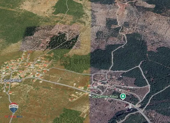 32 Muğla Milas Gürçamlar'da 14688 M2 Satılık Tarla 1