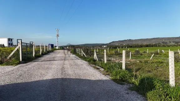 İzmir Menderes Tekeli 2 Ada 1 Parselde 30 Zeytin Ağaçlı 610m2 Hisse Tapulu Tarla 2