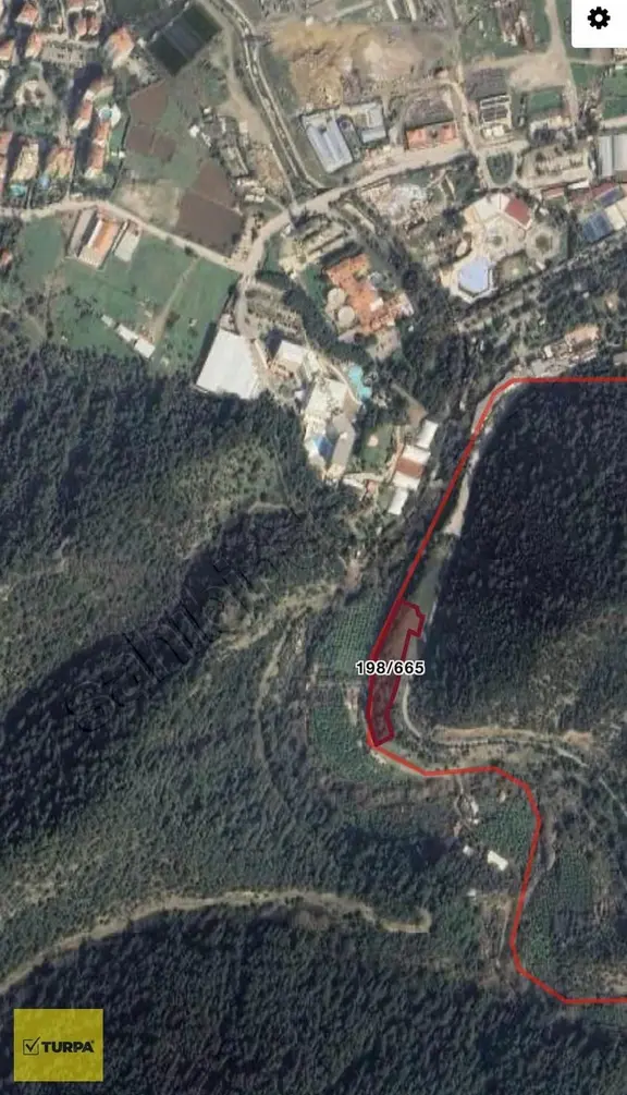 Turpa Balçovadan Kaçırılmaz Yatırım Fırsatı Satılık Zeytinlik 1