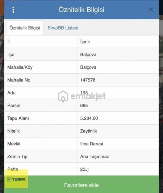Turpa Balçovadan Kaçırılmaz Yatırım Fırsatı Satılık Zeytinlik 2