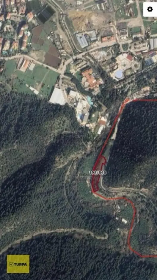 Turpa Balçovadan Kaçırılmaz Yatırım Fırsatı Satılık Zeytinlik 1