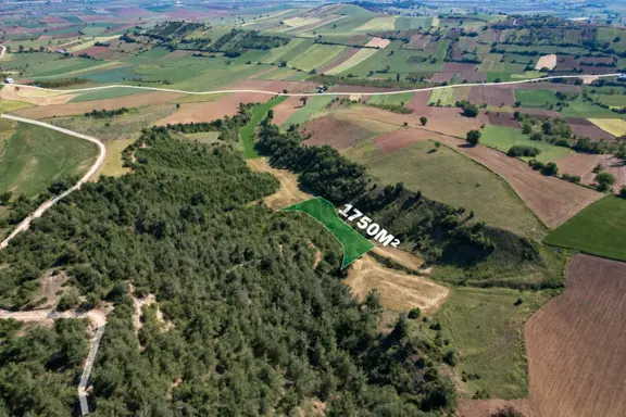 Bursa Yenişehir'de 1750 M2 Fırsat Fiyata Satılık Tarla 1