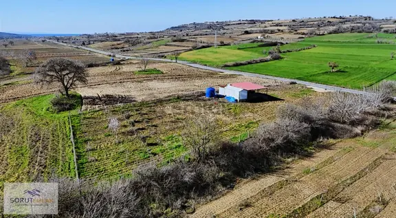 Mecidiye Köyü'nde Satılık 2800m² Fidanlık Ve Yaşam Alanı 2
