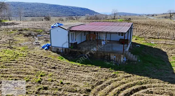 Mecidiye Köyü'nde Satılık 2800m² Fidanlık Ve Yaşam Alanı 1