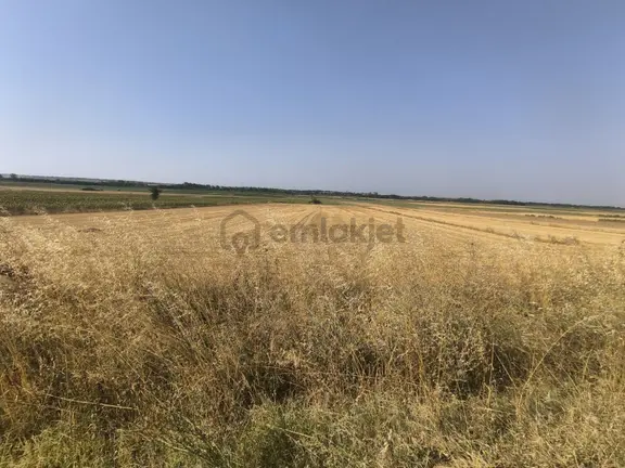 Tekirdağ Hayrabolu Hedeylide Asfalta Cepheli 8.100 M² Yatırımlık 2
