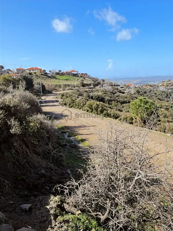 Ayvalıkta Doğayla İç İçe Deniz Manzaralı Bir Yaşam 2