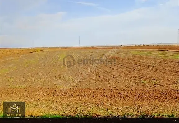 Melek Gayrimenkulden Tekirdağ'da Fırsat Arsa 2