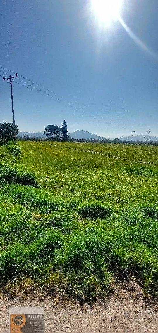 Dikili İsmetpaşa Da Elektrik Suyu Bulunan 7.760metrekare Yatırımlık Tarla 1