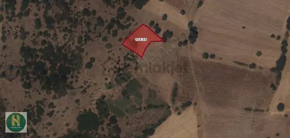 Has Real Estate Gayrimenkul Den İbirler De Satılık Tarla 1