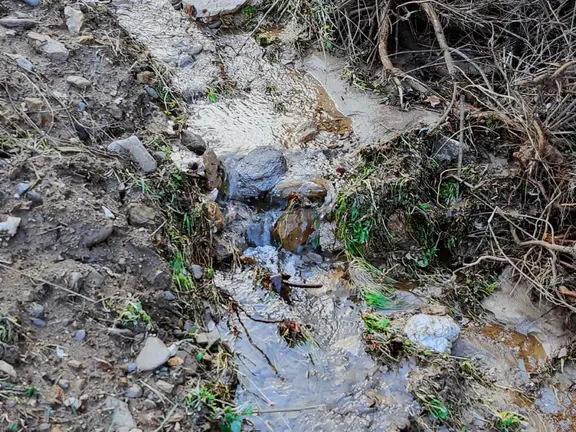 Derin Emlaktan Dereli Mahallesinde Satılık Hobi Bahçesi 2