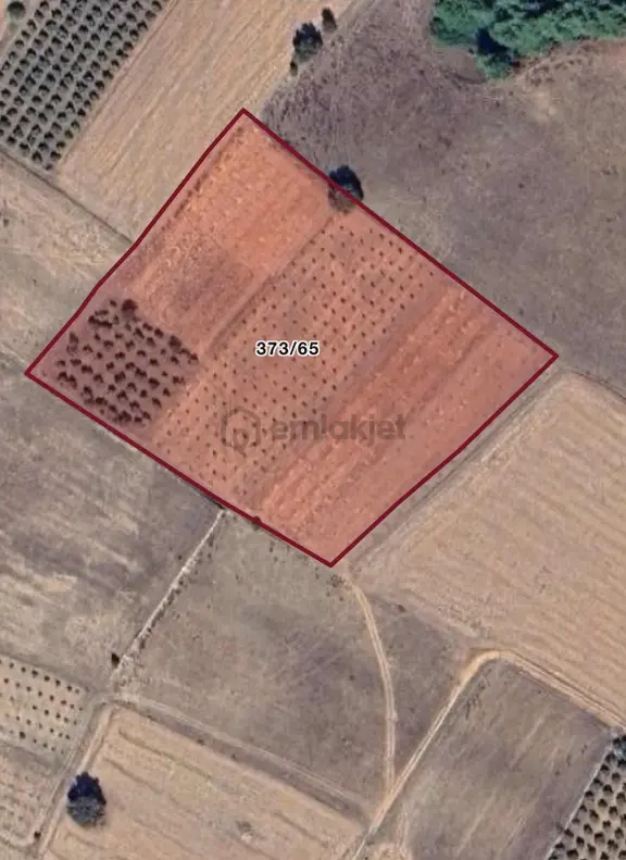 Eşen D400 Ana Yola Yakın Ova İçinde Yatırım Değeri Yüksek Arazi 2
