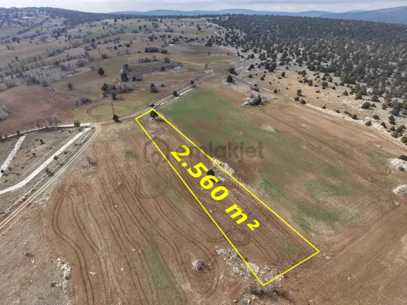 Akören Alan Mahallesinde 2.560 M² Müstakil Tapulu Tarla 2