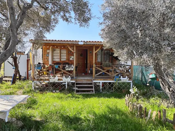 Fırsat ! Örnekköyde Asfalt Yola Cepheli 305 M² Bahçede Ahşap Ev 1