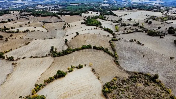 Avdan Mahallesinde Yola Cepheli 11.787m2 Havadar Konumlu Tarla 2