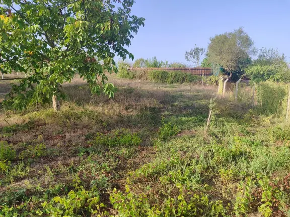 Bandırma Edincik'te İmar Planı İçerisinde Satılık 2419m² Bağ 2