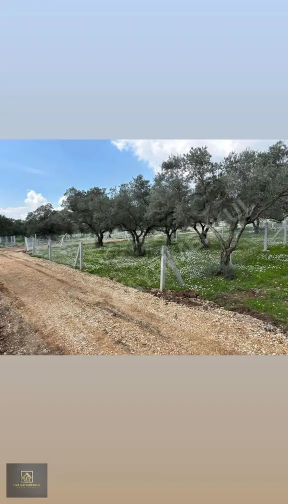 Torbalı Demirci Köyü Manzaralı Satılık Arsa 250m² Hazır Altyapı 2