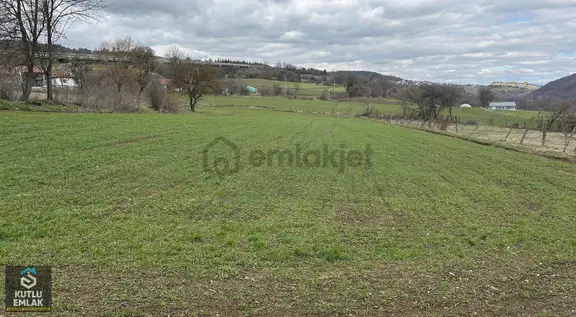 Yumrukaya Köy Yerleşik Alanında Satılık 2900 M2 Tarla 1