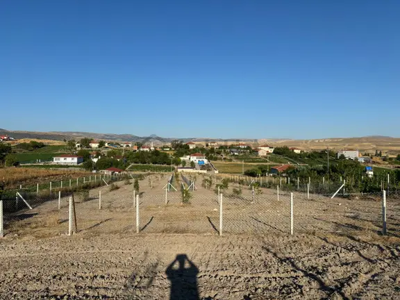 Tek Tapu !!! Cittaslow Kenti Güdül Güneyce'de Satılık 4782 M2 İmarlı Satılık Arsa 1