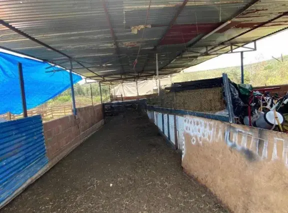 Işıklar Köyünde Merkezde 1.580 M2 İşletmeciliğe Uygun Çiftlik 2