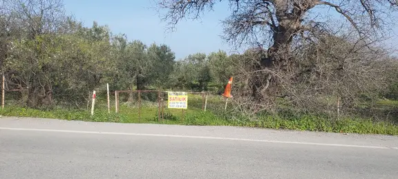 İzmir Aliağa Ekka Emlak Tan Güzelhisar Asfaltı Üzerinde 2750m2 2