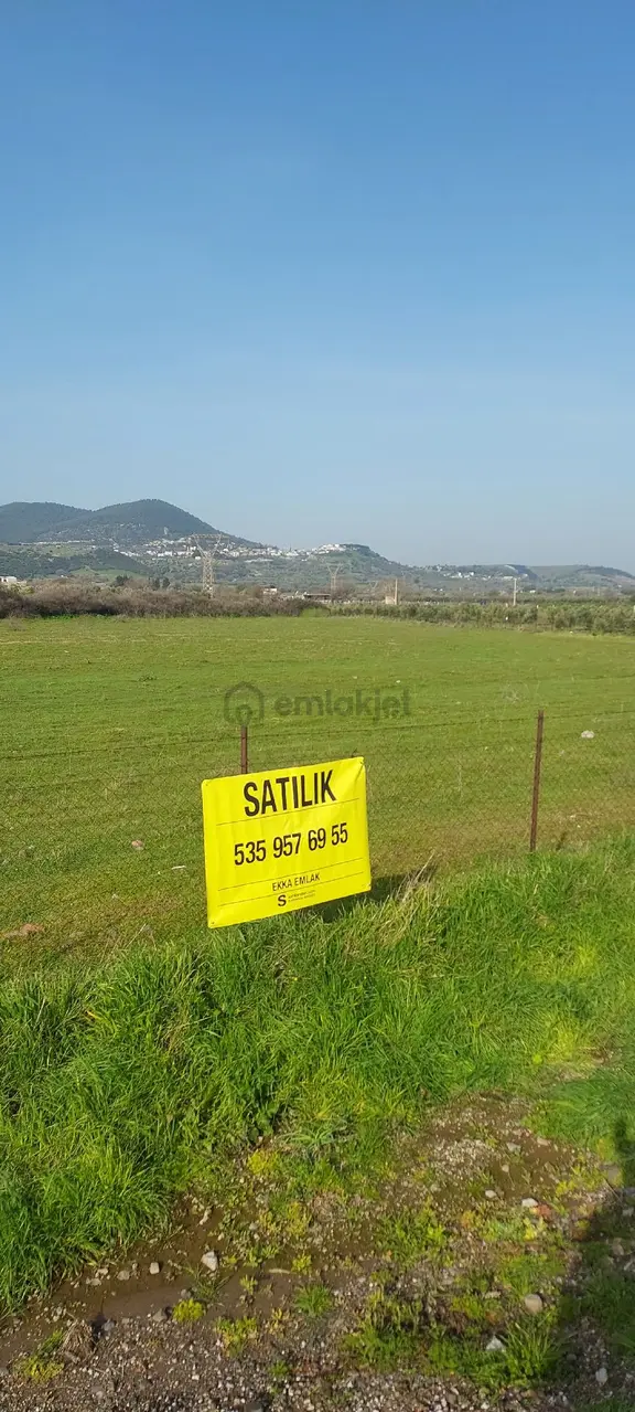 İzmir Aliağa Ekka Emlak Tan Çıtak Yolu Üzerinde 16 Dönüm 2