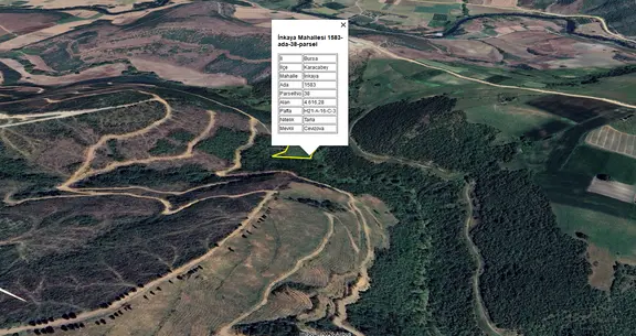 Bursa Karacabey İnkaya Köyü'nde 4616 M2 Satılık Tarla 1