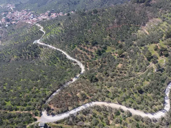 ▀▄mera Emlaktan Mehmetalanda Asfalta Cephe 12.350m2 Zeytinlik 2