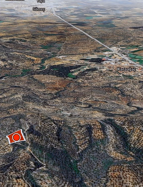 C21 Bal Dan Gömeç Karaağaçta Satılık 4661 M2 Zeytinlik 2