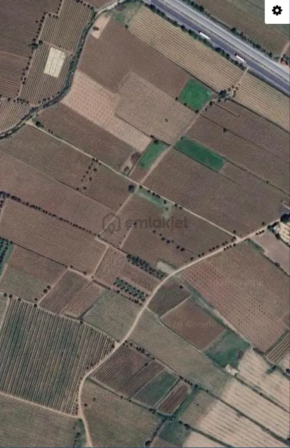 Salihli Mersindere ‘de 12.500 M2 Satılık Üzüm Bağı Fırsat ! 1