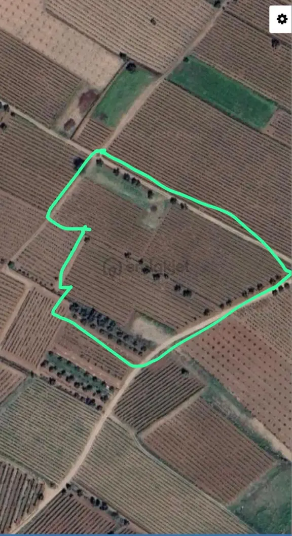 Salihli Mersindere ‘de 12.500 M2 Satılık Üzüm Bağı Fırsat ! 2