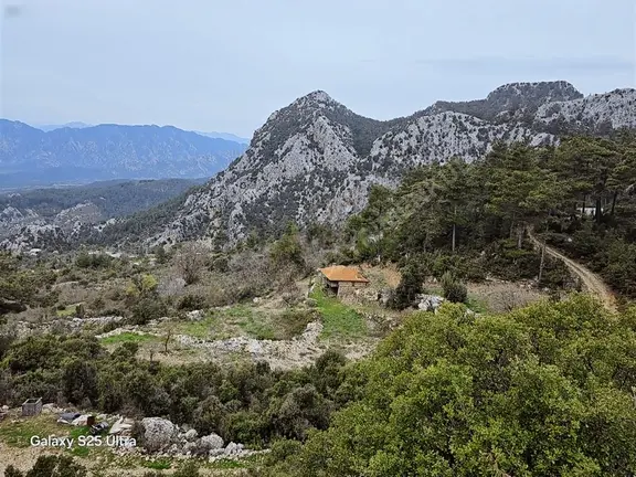 My House'tan Gebiz Bozdoğan'da Satılık Müstakil Kayıtlı Ev,bahçe 1