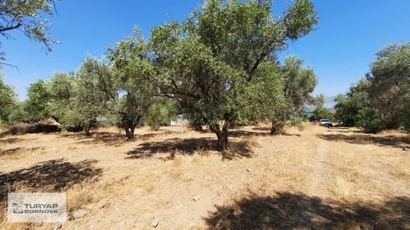 Manisa Turgutlu Avşar'da 424 M2 Satılık Arsa 2
