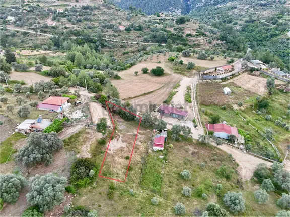 Gökova’ya Yakın Zeytinköy’de 450m² Premium Doğa Tarlası 2