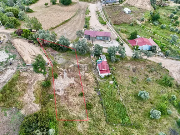 Gökova’ya Yakın Zeytinköy’de 450m² Premium Doğa Tarlası 1