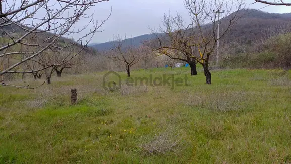 Uzmanlar'dan Akçat 1164 M2 Satılık %5 İmarlı Meyve Bahçesi 2