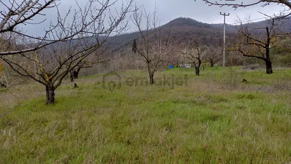 Uzmanlar'dan Akçat 1164 M2 Satılık %5 İmarlı Meyve Bahçesi 1