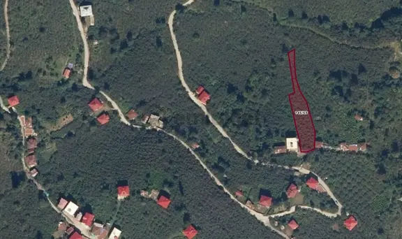 Vavien Emlak'tan Bahçeli Köyü İçerisinde Satılık Fındık Bahçesi 1