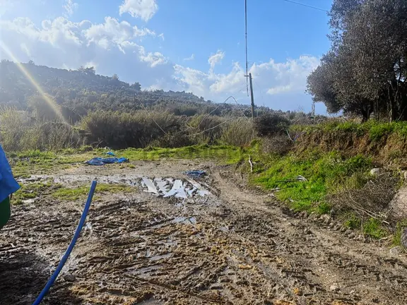 Oflaz Emlaktan Satılık 1.5 Dönüm Tek Tapu Tarla 2