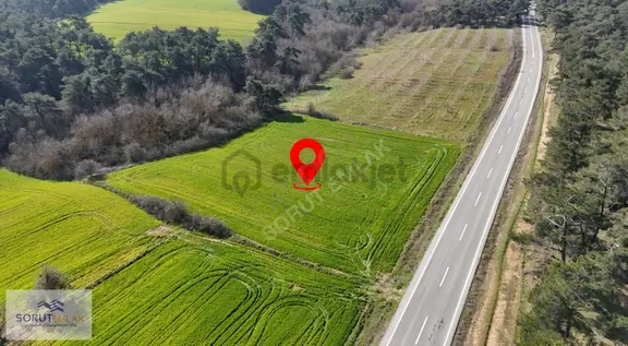 Ana Yola Cepheli, Orman Manzaralı 5764m² Yatırımlık Tarla 1