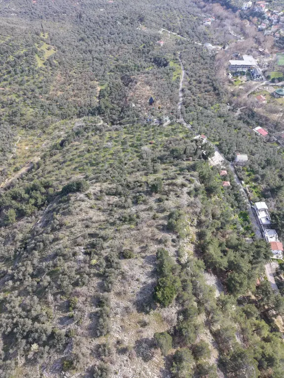 ▀mera Emlaktan Kızılkeçili Köyü Müstakil 21.000m2 Zeytinlik 2