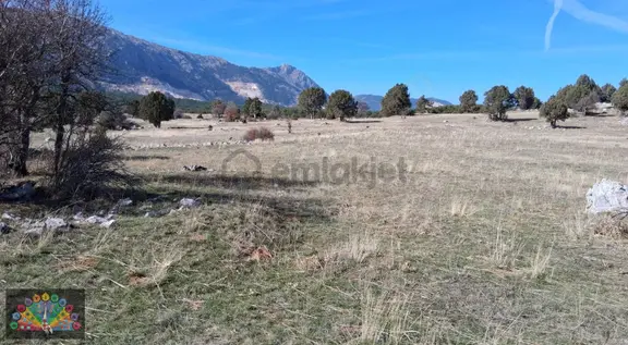 Bakaranda Şahane Yayla Parseli .çamlık Gölet Manzaralı 2