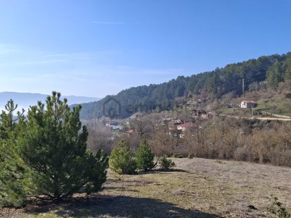 Mudurnu Delice Köyünde Köy İçi 529 M2 Tarla 1