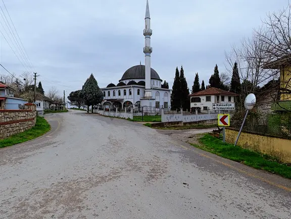 Kurudilde 10.978 M2 Satılık Fındık Bahçesi 2