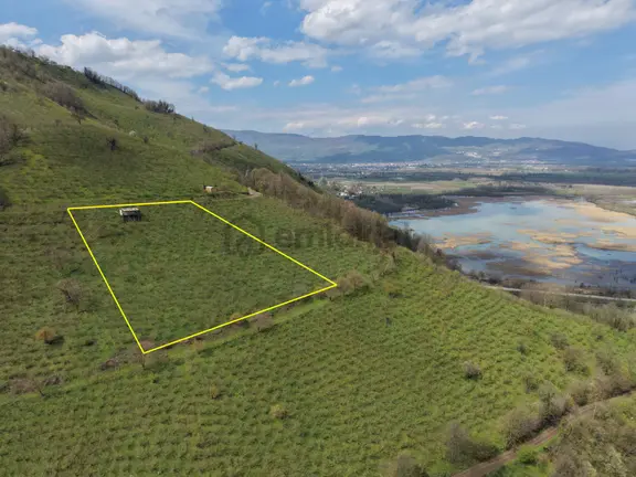 Hamamüstü Efteni Gölü'ne Manzaralı 5463 M2 Satılık Arazi 2